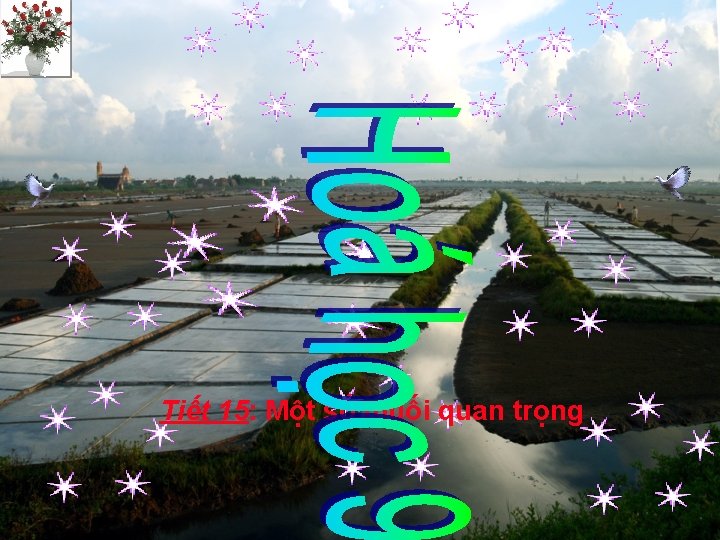 Tiết 15: Một số muối quan trọng Tiết 15: Một số muối quan trọng