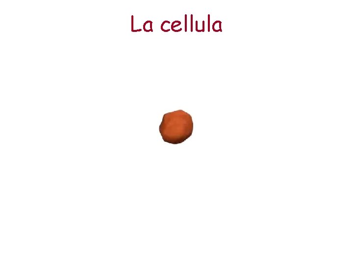 La cellula 