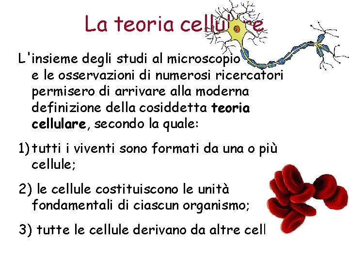 La teoria cellulare L'insieme degli studi al microscopio e le osservazioni di numerosi ricercatori