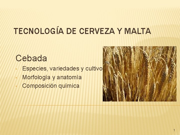 TECNOLOGÍA DE CERVEZA Y MALTA Cebada • • • Especies, variedades y cultivo Morfología