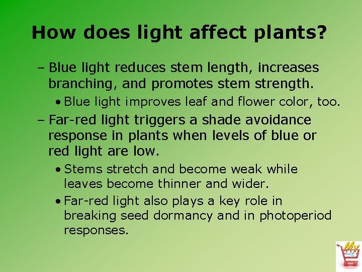 How does light affect plants? – Blue light reduces stem length, increases branching, and