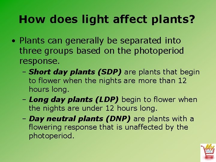 How does light affect plants? • Plants can generally be separated into three groups