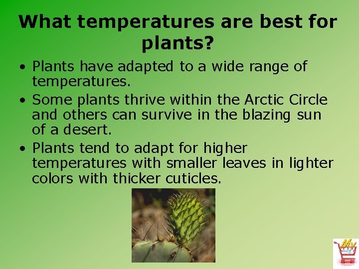 What temperatures are best for plants? • Plants have adapted to a wide range