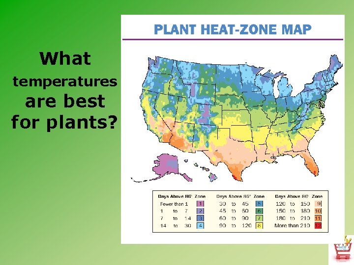 What temperatures are best for plants? 