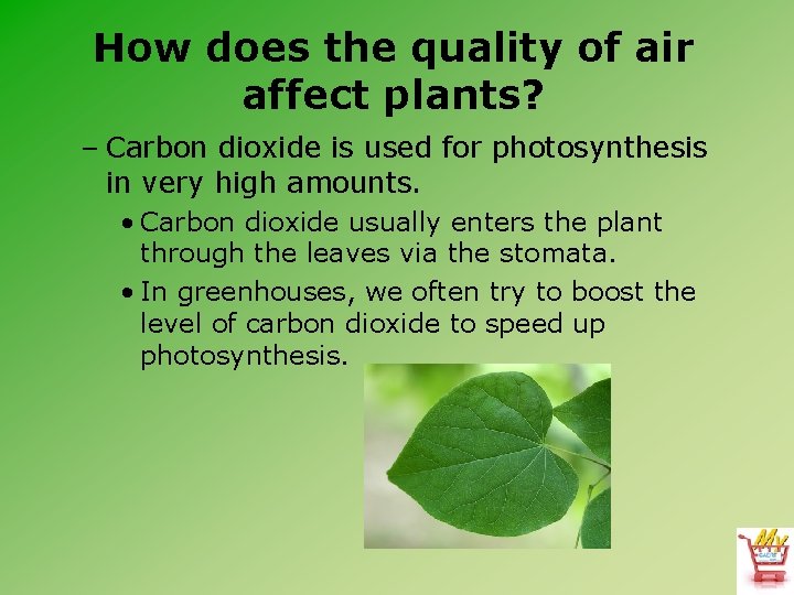 How does the quality of air affect plants? – Carbon dioxide is used for