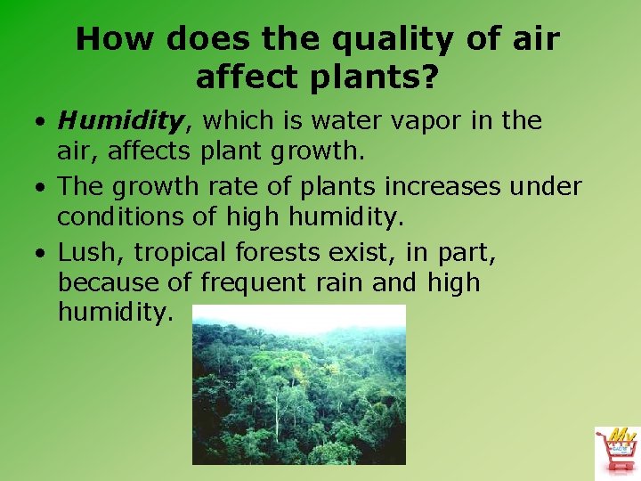 How does the quality of air affect plants? • Humidity, which is water vapor