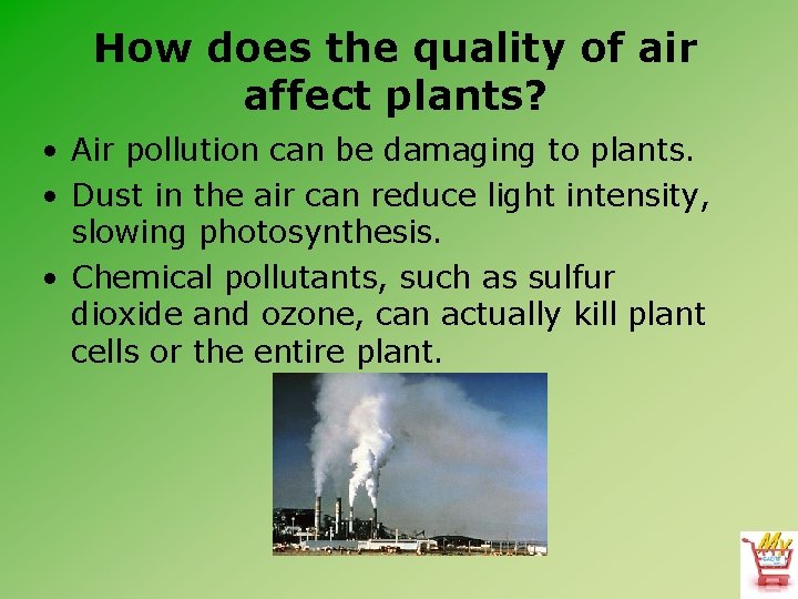 How does the quality of air affect plants? • Air pollution can be damaging