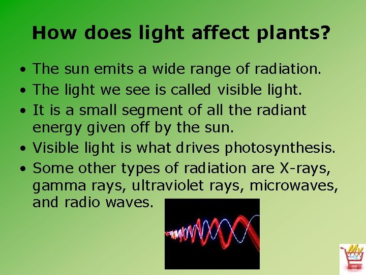 How does light affect plants? • The sun emits a wide range of radiation.