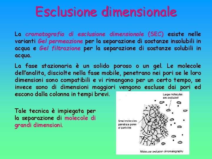Esclusione dimensionale La cromatografia di esclusione dimensionale (SEC) esiste nelle varianti Gel permeazione per