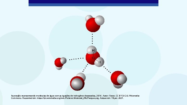 Ilustração representando moléculas de água com as ligações de hidrogênio destacadas, 2014. Autor: Riccio.