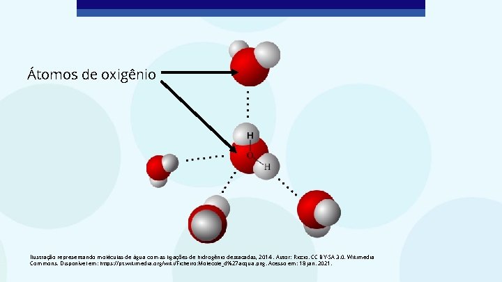 Átomos de oxigênio Ilustração representando moléculas de água com as ligações de hidrogênio destacadas,