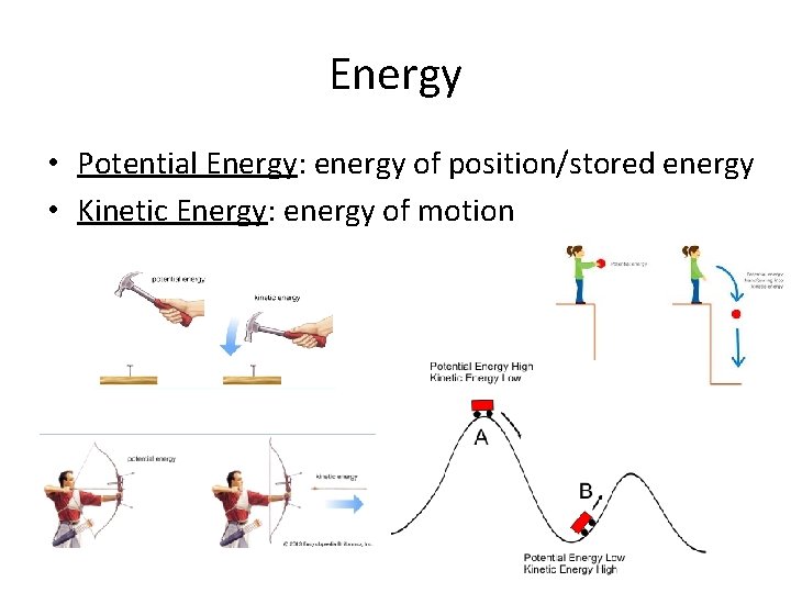 Energy • Potential Energy: energy of position/stored energy • Kinetic Energy: energy of motion