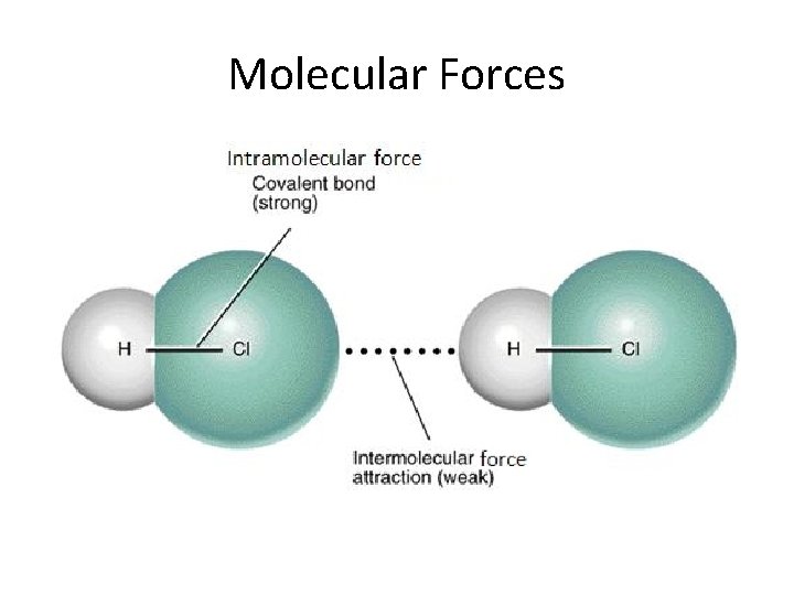 Molecular Forces 