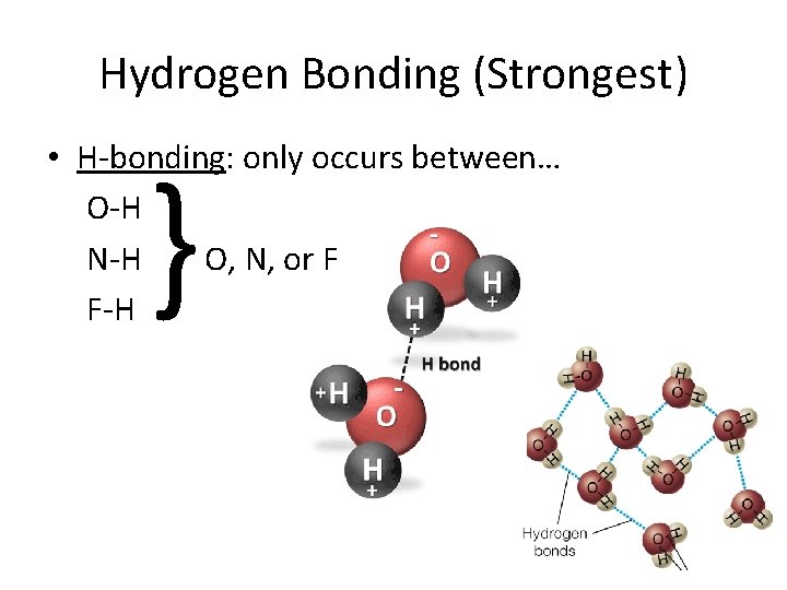 Hydrogen Bonding (Strongest) • H-bonding: only occurs between… O-H N-H O, N, or F