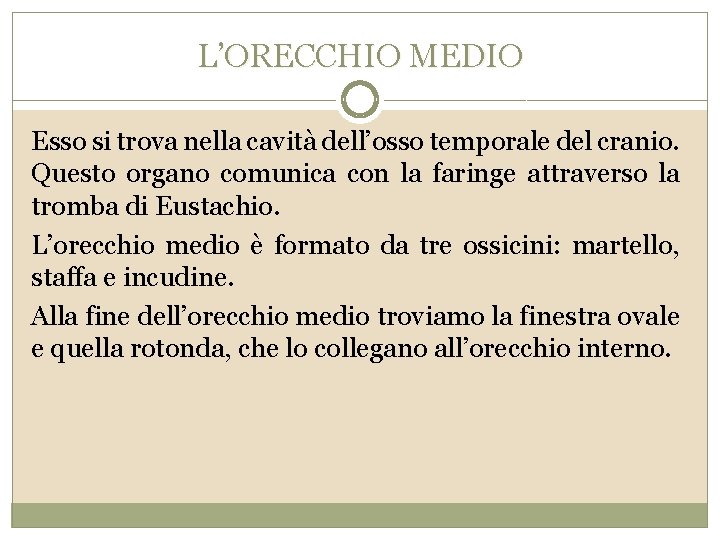 L’ORECCHIO MEDIO Esso si trova nella cavità dell’osso temporale del cranio. Questo organo comunica