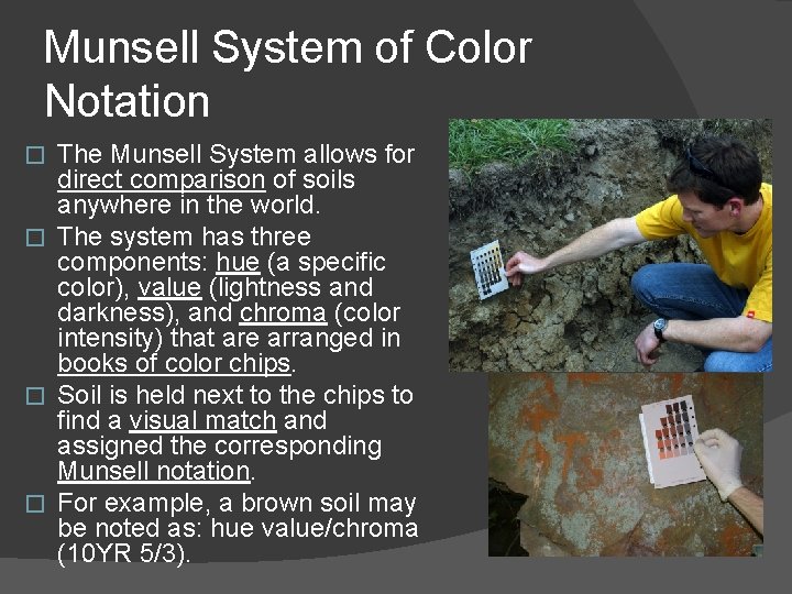 Munsell System of Color Notation The Munsell System allows for direct comparison of soils