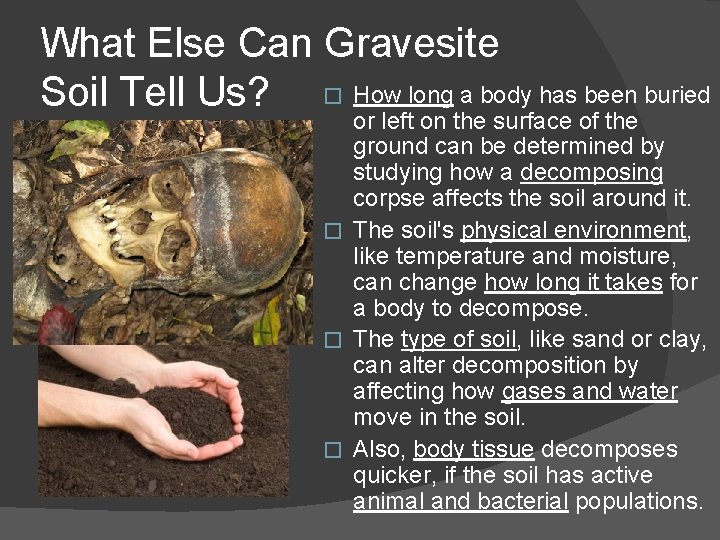 What Else Can Gravesite Soil Tell Us? � How long a body has been