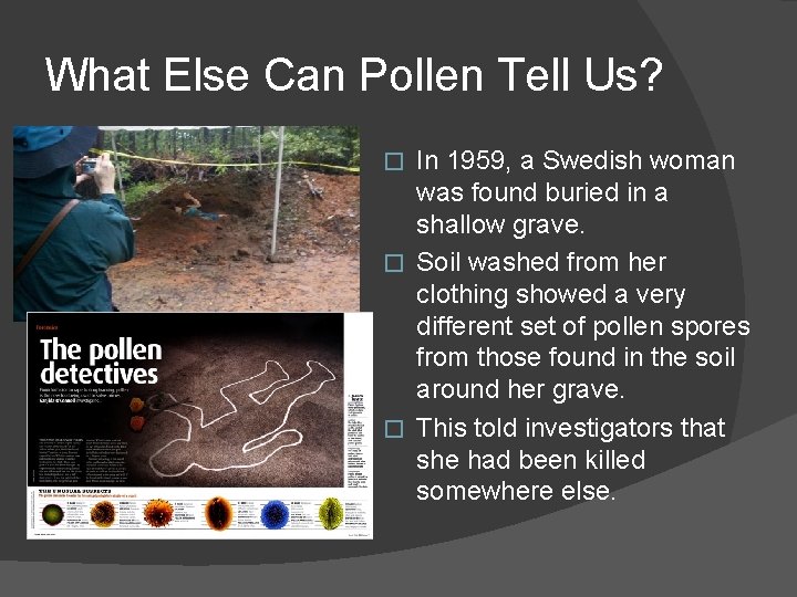 What Else Can Pollen Tell Us? In 1959, a Swedish woman was found buried