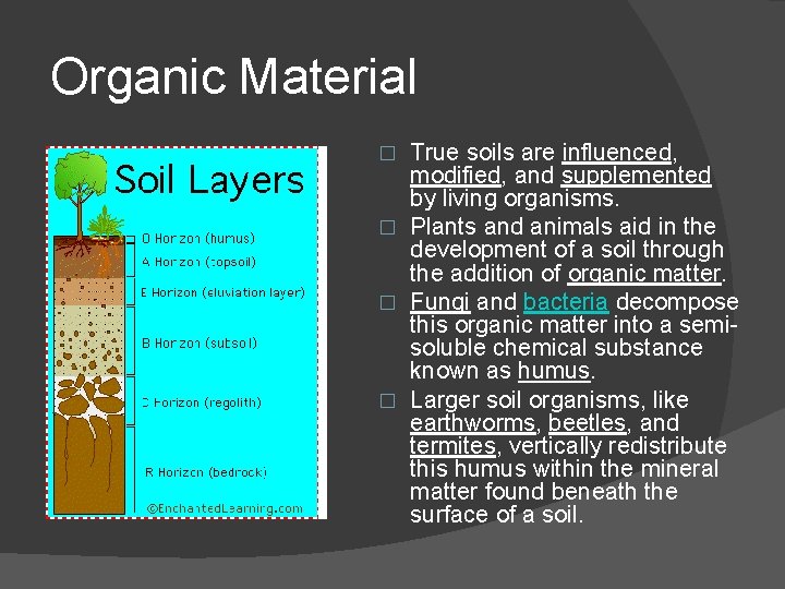 Organic Material True soils are influenced, modified, and supplemented by living organisms. � Plants