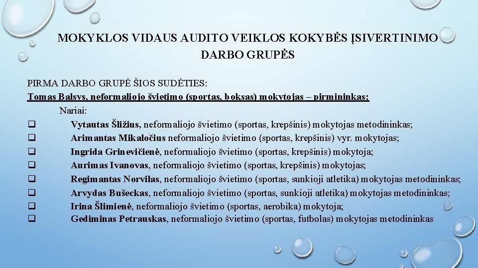 MOKYKLOS VIDAUS AUDITO VEIKLOS KOKYBĖS ĮSIVERTINIMO DARBO GRUPĖS PIRMA DARBO GRUPĖ ŠIOS SUDĖTIES: Tomas