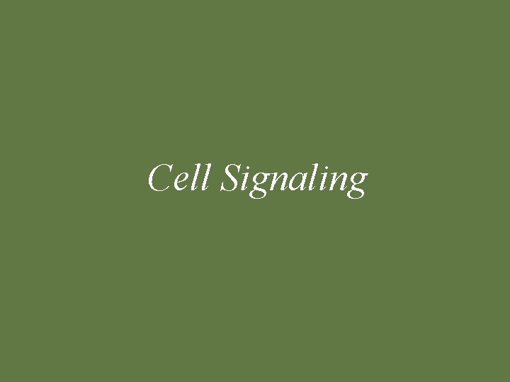 Cell Signaling 