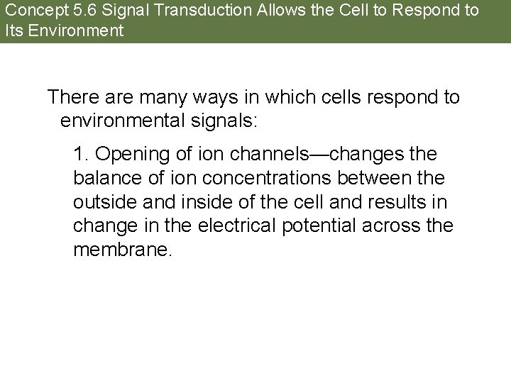 Concept 5. 6 Signal Transduction Allows the Cell to Respond to Its Environment There