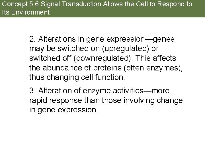 Concept 5. 6 Signal Transduction Allows the Cell to Respond to Its Environment 2.