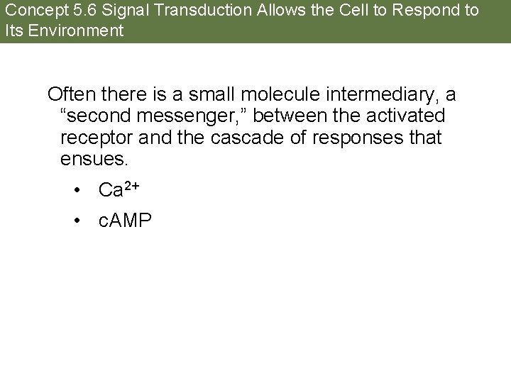 Concept 5. 6 Signal Transduction Allows the Cell to Respond to Its Environment Often