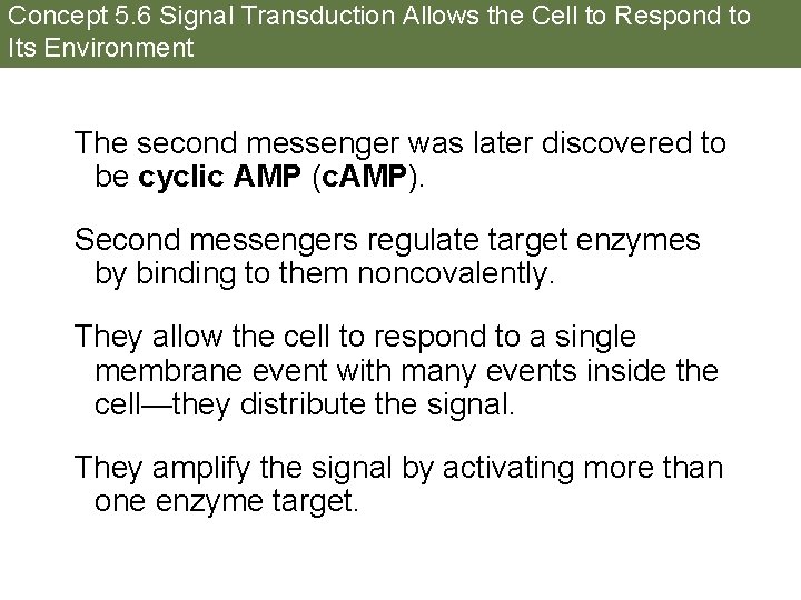 Concept 5. 6 Signal Transduction Allows the Cell to Respond to Its Environment The