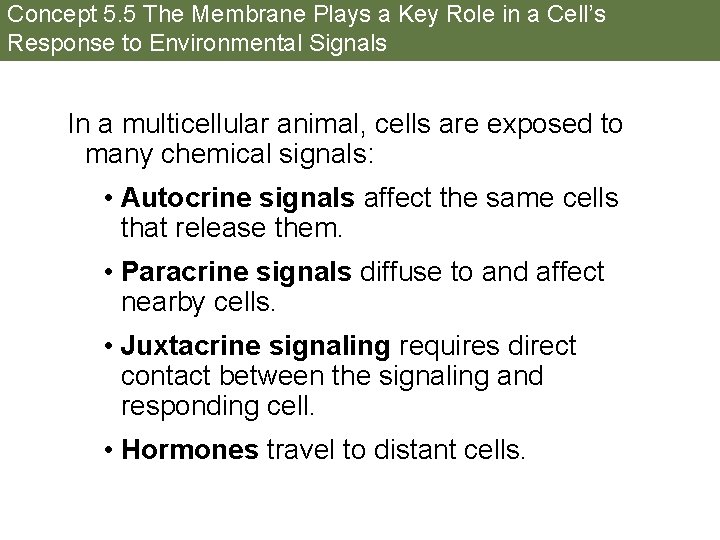 Concept 5. 5 The Membrane Plays a Key Role in a Cell’s Response to