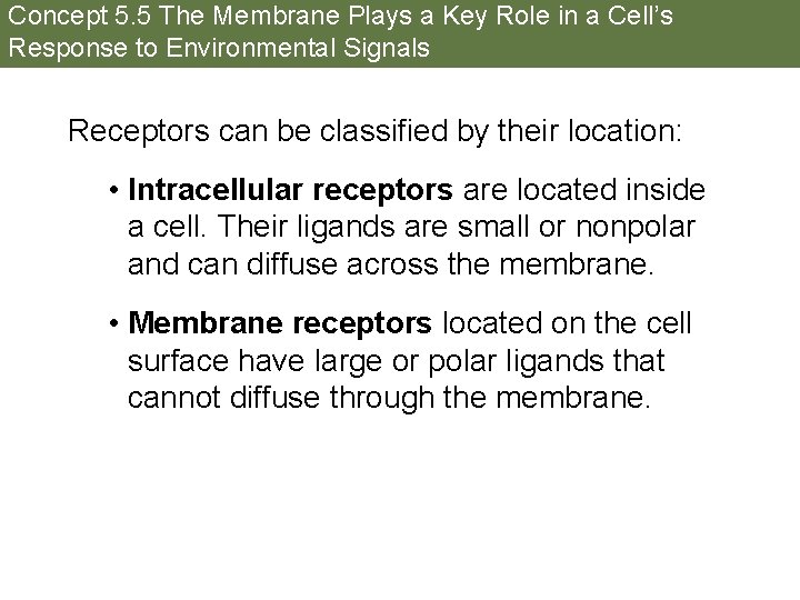 Concept 5. 5 The Membrane Plays a Key Role in a Cell’s Response to