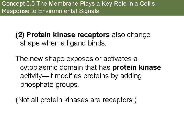 Concept 5. 5 The Membrane Plays a Key Role in a Cell’s Response to