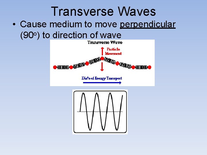 Transverse Waves • Cause medium to move perpendicular (90 o) to direction of wave