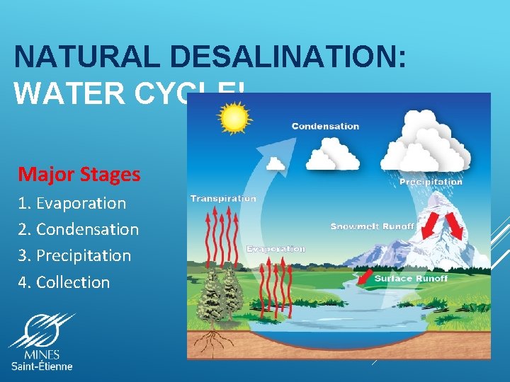 NATURAL DESALINATION: WATER CYCLE! Major Stages 1. Evaporation 2. Condensation 3. Precipitation 4. Collection