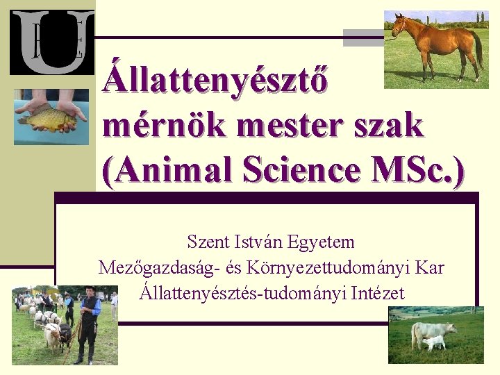 Állattenyésztő mérnök mester szak (Animal Science MSc. ) Szent István Egyetem Mezőgazdaság- és Környezettudományi