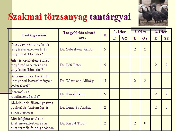 Szakmai törzsanyag tantárgyai Tantárgy neve Tárgyfelelős oktató neve K 1. félév 2. félév 3.