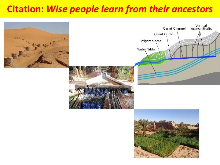 Citation: Wise people learn from their ancestors 