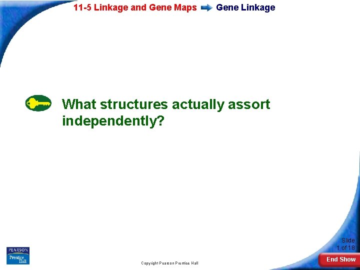11 -5 Linkage and Gene Maps Gene Linkage What structures actually assort independently? Slide