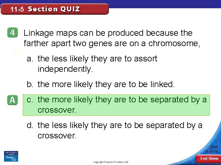 11 -5 Linkage maps can be produced because the farther apart two genes are