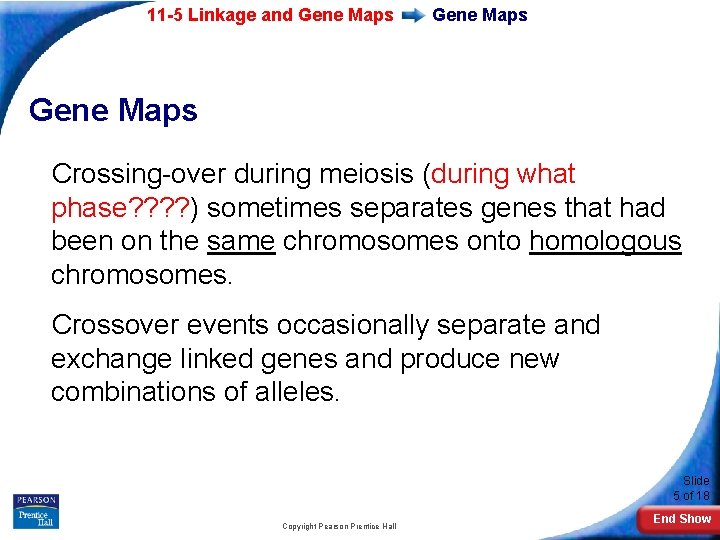 11 -5 Linkage and Gene Maps Crossing-over during meiosis (during what phase? ? )