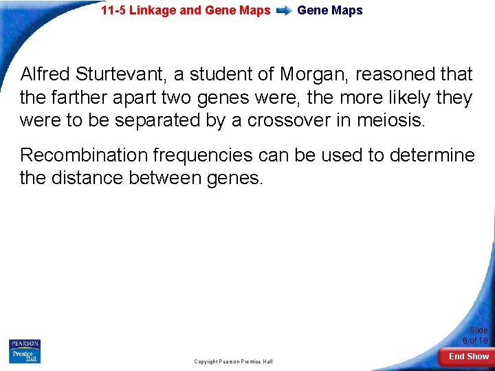11 -5 Linkage and Gene Maps Alfred Sturtevant, a student of Morgan, reasoned that