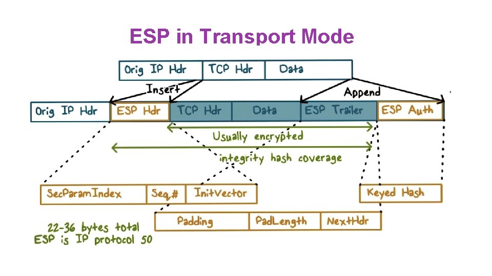 ESP in Transport Mode 
