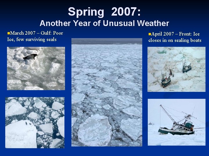 Spring 2007: Another Year of Unusual Weather n. March 2007 – Gulf: Poor Ice,