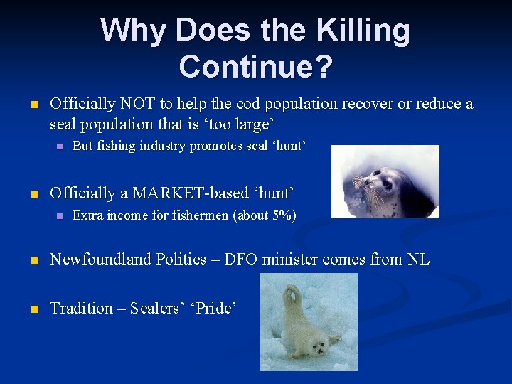 Why Does the Killing Continue? n Officially NOT to help the cod population recover