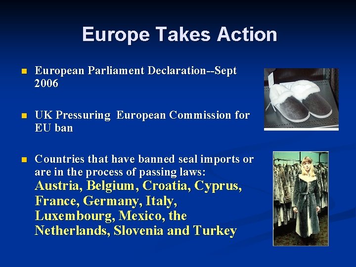 Europe Takes Action n European Parliament Declaration--Sept 2006 n UK Pressuring European Commission for