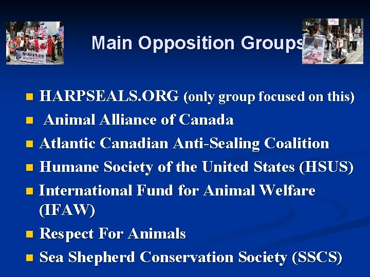Main Opposition Groups HARPSEALS. ORG (only group focused on this) n Animal Alliance of