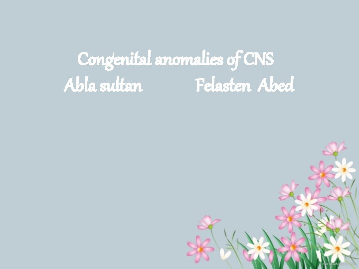 Congenital anomalies of CNS Abla sultan Felasten Abed 