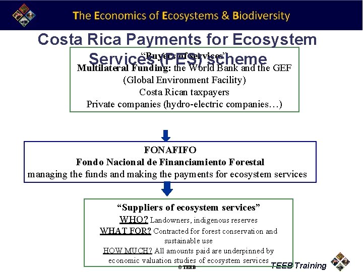 Costa Rica Payments for Ecosystem “Buyers of services” Services (PES) scheme Multilateral Funding: the