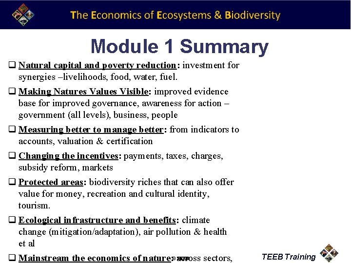Module 1 Summary q Natural capital and poverty reduction: investment for synergies –livelihoods, food,