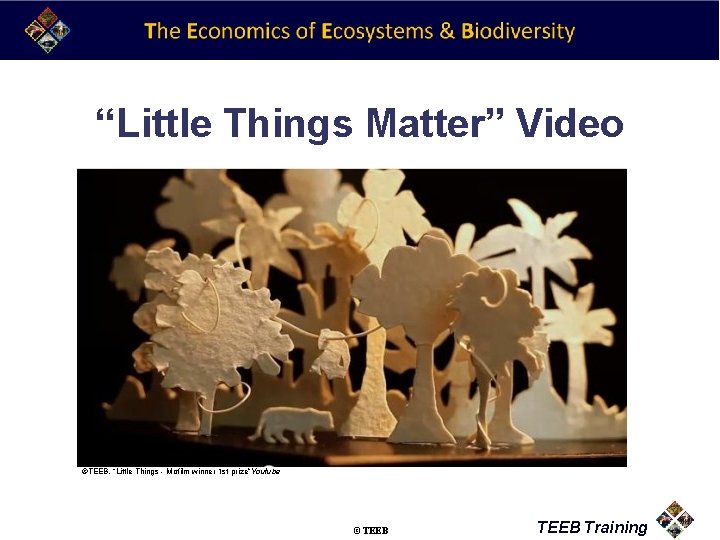 “Little Things Matter” Video ©TEEB. “Little Things - Mofilm winner 1 st prize”Youtube ©TEEB